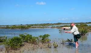 big_030208-Mexico-Ascension_Bay-Figen-casting-DB.html