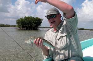 big_030208-Mexico-Ascension_Bay-Figen_bone-DB.html