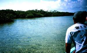 big_030208-Mexico-Ascension_Bay-Gaspar-school-looting.html