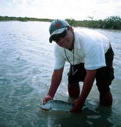 big_030208-Mexico-Ascension_Bay-Gasper-bone.html