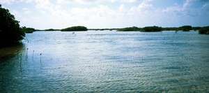 big_030208-Mexico-Ascension_Bay-violent_school.html