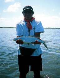 big_030208-Mexico-Ascension_Bay-wannabe-guide.html