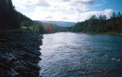 big_030804-Nordland-brekk-over-fossen.html
