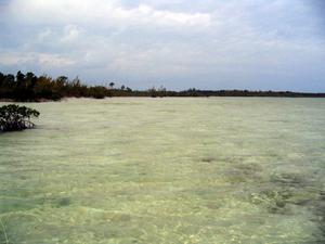 big_040215-Bahamas-Abaco-Dumpa.html