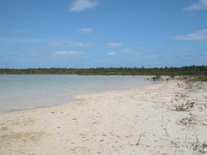 big_040216-Bahamas-Abaco-Dumpa-DB.html