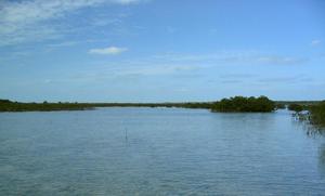 big_040216-Bahamas-Abaco-Purka-lagune.html