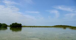 big_040217-Bahamas-Abaco-Purka-lagune2.html