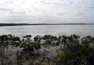 en_big_040217-Bahamas-Abaco-Purka-quiet_morning.html