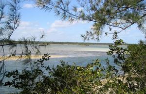 big_040218-Bahamas-Abaco-Fake-Snake.html