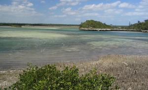 big_040218-Bahamas-Abaco-Fake-Snake2.html