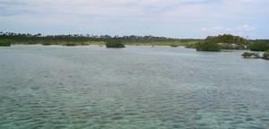 big_040220-Bahamas-Abaco-Snake_Cay2.html