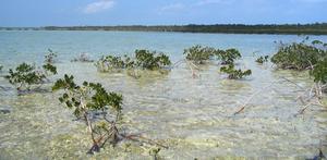 big_040222-Bahamas-Abaco-Purka-Channel.html