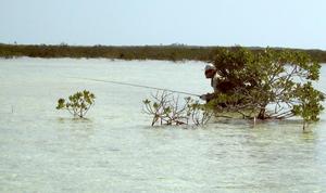 big_040222-Bahamas-Abaco-Purka-Dariusz.html