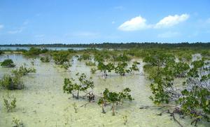 en_big_040222-Bahamas-Abaco-Purka-bay.html