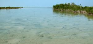 big_040222-Bahamas-Abaco-Purka-school3-DB.html