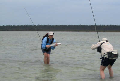 big_060304-Bahamas-Abaco-fotosession.html