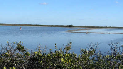 big_060304-Bahamas-Abaco-stimplyndrar.html