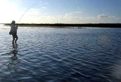en_big_060304-Bahamas-Abaco-stimplyndrar4.html