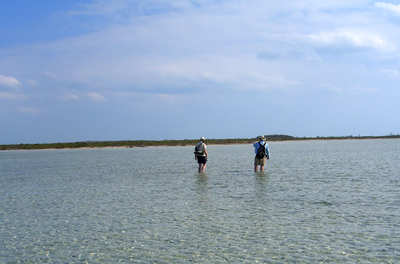 en_big_060305-Bahamas-Abaco-Figen_og_Dariusz_rusler-CJjpg.html