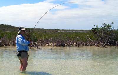 big_060307-Bahamas-Abaco-figen-channel-CJ.html