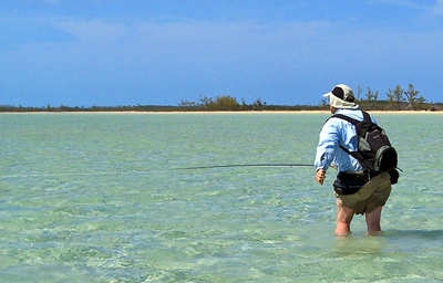 en_big_060308-Bahamas-Abaco-Figen-fish-DB.html