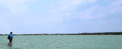 en_big_060308-Bahamas-Abaco-Figen-gjekk-DB.html
