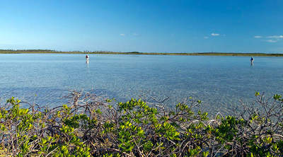 big_070217-Abaco-Amund-Julern-speider.html