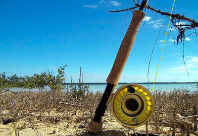 big_070217-Abaco-snelle.html