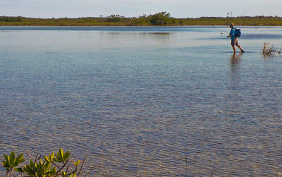 big_070217-Bahamas-Abaco-Amund-tailer2.html