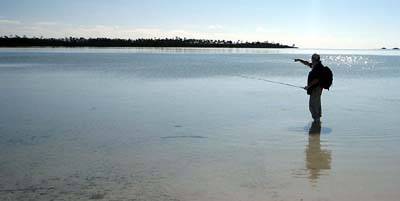 big_070217-Bahamas-Abaco-Dariusz-spotter-KA.html