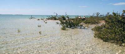big_070217-Bahamas-Abaco-Julern-Figen-AF.html