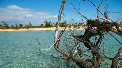 big_070219-Abaco-Hestesko-Julern.html