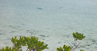 big_070219-Abaco-lagune-kanal-bone.html