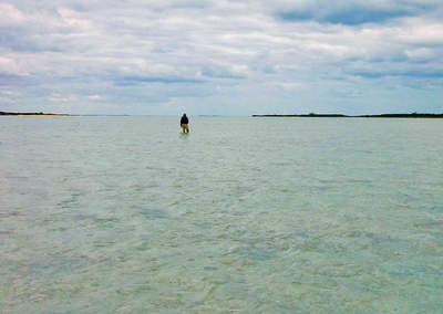 big_070219-Abaco-mudflat-Julern.html