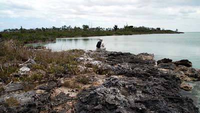 big_070219-Bahamas-Abaco-Dariusz-AF.html