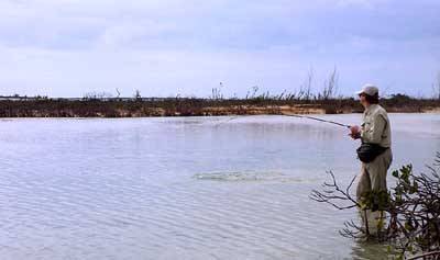 big_070219-Bahamas-Abaco-Julern-kjorerx.html