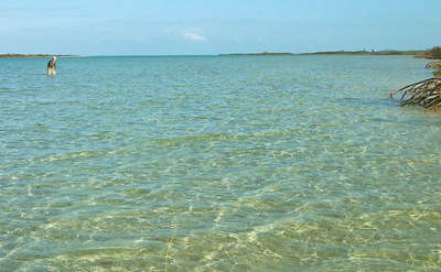 big_070220-Abaco-mudflat-julestripp2.html