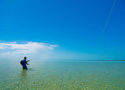 big_070221-Abaco-amund-double.html