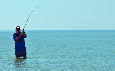 big_070221-Abaco-amund-jomfrufisk4.html