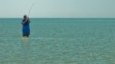 big_070221-Abaco-amund-jomfrufisk5.html