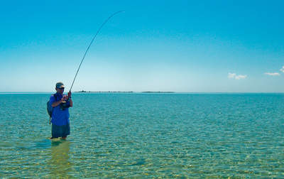 big_070221-Abaco-amund-jomfrufisk6.html