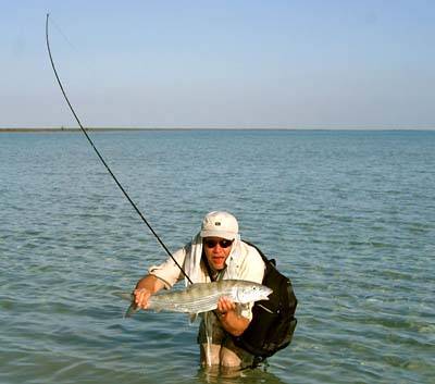 big_070221-Bahamas-Abaco-Dariusz-storfisk2-DB.html