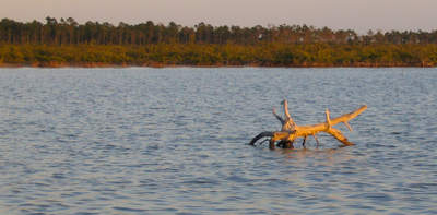 big_070221-Bahamas-Abaco-Javla-stokk.html