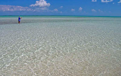 big_070222-Abaco-sandbank-turtlegrass.html