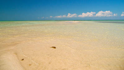 big_070222-Abaco-sandbank.html