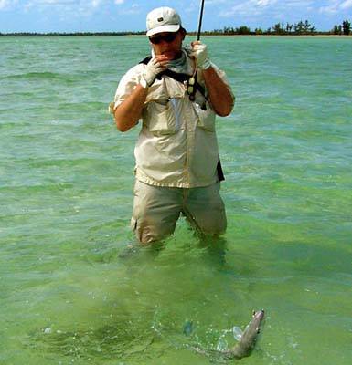 big_070222-Bahamas-Abaco-Dariusz-fisk-DB.html