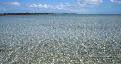 big_070222-Bahamas-Abaco-bone-KA.html