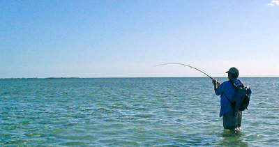 big_070223-Abaco-amund-bonefish2.html