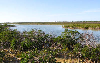 en_big_070223-Bahamas-Abaco-fishyflat-AF.html