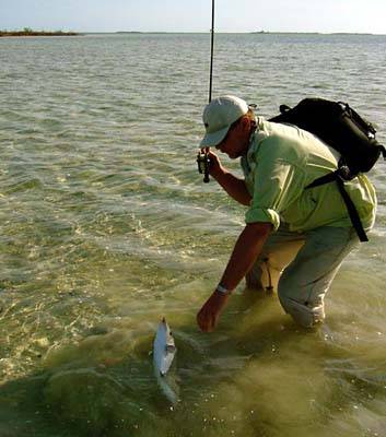 en_big_070224-Bahamas-Abaco-Dariusz-lander-DB.html